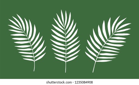 Set of Leaves. Vector. Silhouette