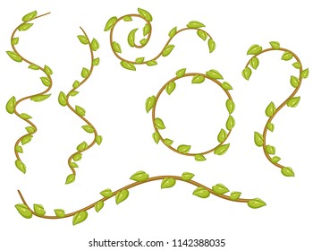 A set of leaves vines illustration