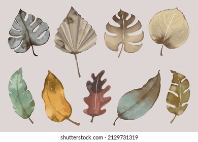 Set of leaves. Watercolor leaf elements decoration. Vector illustration for design.