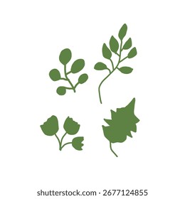 set of leaves in white background