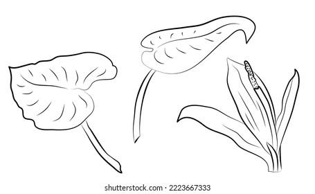 A set of leaves for your decor. Circuit