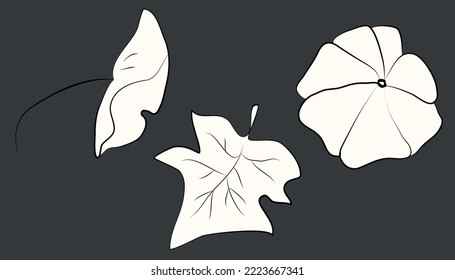 A set of leaves for your decor. light fill