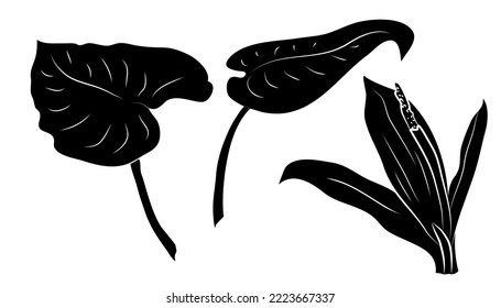 A set of leaves for your decor. Silhouettes