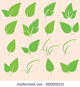 Set of leaves for your illustrations
