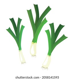 Set leek or pearl is a herbaceous plant of the Onion subfamily. A tasty and healthy plant used for food. Vector illustration isolated on a white background for design and web.