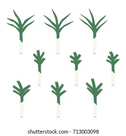Set of leek - vector illustration