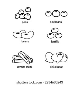 A set of legumes outline. Peas soybeans beans lentils lentils chickpeas green beans