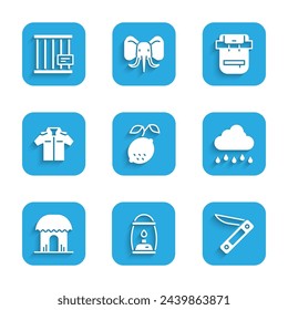 Set Lemon, Camping lantern, Swiss army knife, Cloud with rain, African hut, Shirt, Hiking backpack and Animal cage icon. Vector