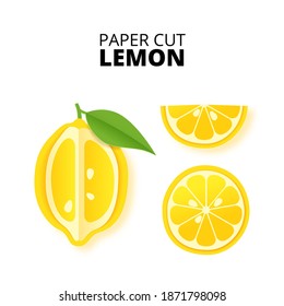 Set of lemon citrus fruit sliced whole in a paper cut style. Lemon slices and paper slices. Stock vector illustration. Isolated on white background vector illustration. Vector paper cut poster, banner