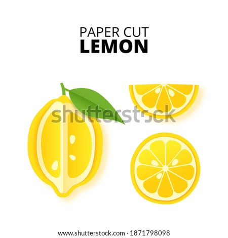 Set of lemon citrus fruit sliced whole in a paper cut style. Lemon slices and paper slices. Stock vector illustration. Isolated on white background vector illustration. Vector paper cut poster, banner