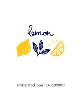 Set of lemon elements. Citrus. Fruit icon. Lemon fruit hand drawn vector set. Fr prints, patterns, packaging design, menu, recipes. hand written lettering lemon