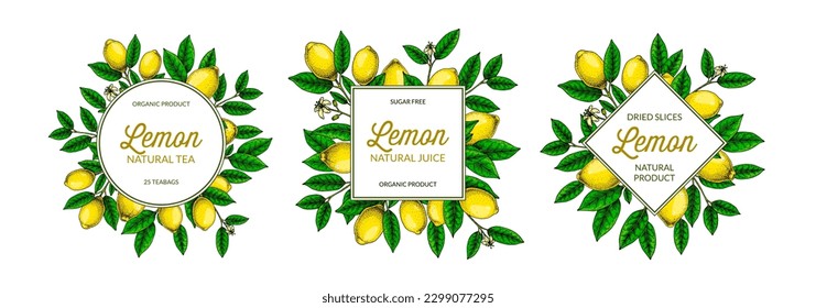 Set of lemon frames. Hand drawn colorful vector illustration in sketch stile. Design for packaging, logo, invitation, greeting cards