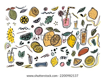Set of lemon fresh juice mint summer hand drawn scribble doodle line art sketch vector illustration