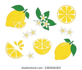 Set of lemon icon vector illustration. Citrus on isolated background. Citric sign concept.