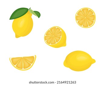 A set of lemon images. Vector illustration