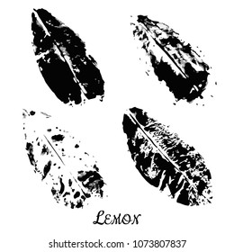 Set  of lemon leaf stamps. Black and white. Vector Illustration