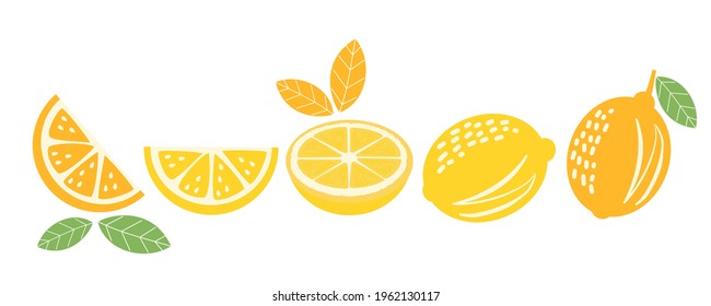 Set of lemon and leaves icons isolated on white background vector illustration.