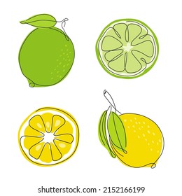 Zitronen-, Kalk-, Stück- und Scheiben Zitrusfrüchte. Kollektion von Vektorgrafik-Tropenfutter. 