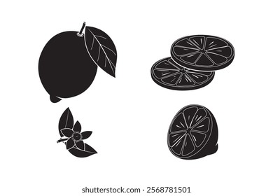 set of lemon silhouettes and lemon fruit slices