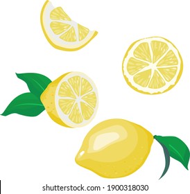 Set of lemon slice lemon fruit and leaf on white background. Vector illustration.
