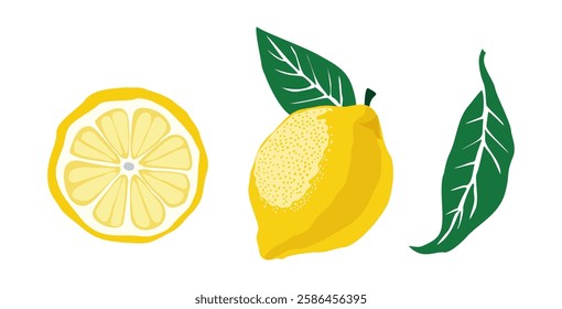 Set of a lemon, a slice of lemon, and a leaf. Concept of freshness and vitality, as the lemon is a symbol of health and wellness. The leaf adds a touch of nature