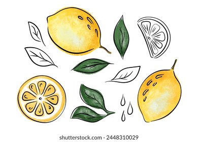 Set Zitronenscheibe und -blätter, Vektorgrafik Kollektion Skizze und strukturierte Illustration 