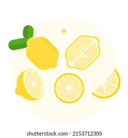 set of lemon , lemon sliced on light yellow background flat style , vector illustration