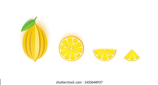 Set of lemon sliced paper citrus fruit sliced whole, triangular and round slices, design for any purpose. Summer yellow lime juicy food. Vector card 3d illustration. Tropical papercraft layers fruit.