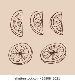 Set of lemon slices. Hand drawn vector illustration in outline style.