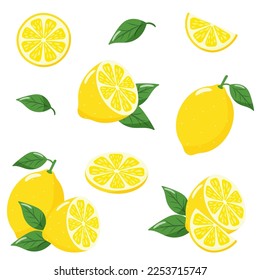 set of lemon slices and leaves