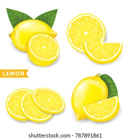 Set of lemon vector illustration
