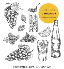 Set of  lemonade illustrations. sketch of lemonade. hand drawn illustration of Georgian lemonade