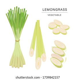 Set of Lemongrass Vegetable Slices. Organic and healthy food isolated element Vector illustration.