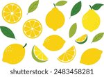 Set of lemons in doodle style. Collection of lemons on a branch, a slice of a lemon, half a lemon. Vector