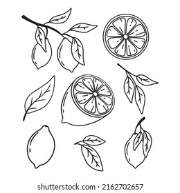 Set of lemons in doodle style. Collection of lemons on a branch, a slice of a lemon, half a lemon. Vector illustration.