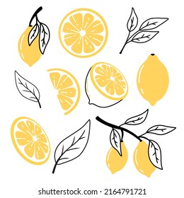 Conjunto de limones en estilo doodle. Colección de limones en una rama, un trozo de limón, medio limón. Ilustración vectorial.