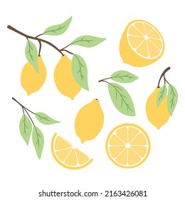 Set of lemons in flat style. Collection of lemons on a branch, a slice of a lemon, a half of a lemon.Vector illustration.