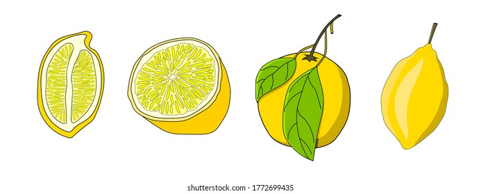 Set of lemons. Half of fruit, slice of fruit, whole lemon. Vector isolated elements for design. Doodle style. 