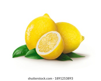 set of lemons with lemon leaves on white background. vector illustration