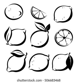 Set Of Lemons And Lime Vector Symbols In Sketch Style