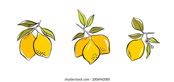 Conjunto de limones en rama con hojas verdes, flor. Dibujo manual con tinta y manchas con estilo abstracto mínimo. Un simple doodle de limón aislado sobre fondo blanco. Elemento de verano de frutas para el diseño