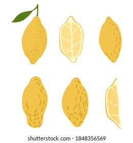 Set lemons on white background. Abstract lemon sketch hand drawn whole, slice, half in style doodle vector illustration.