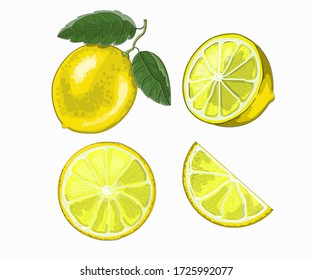 A set of lemons - one lemon on a twig with two leaves, half and two slices on a white background. Stock vector illustration. 