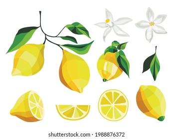 
Set of lemons in vector, bright illustration.