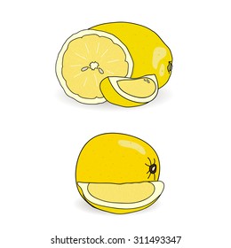 Set of lemons. Whole, half, piece. Flat design. Isolated on white background. Black strokes. Vector illustration.