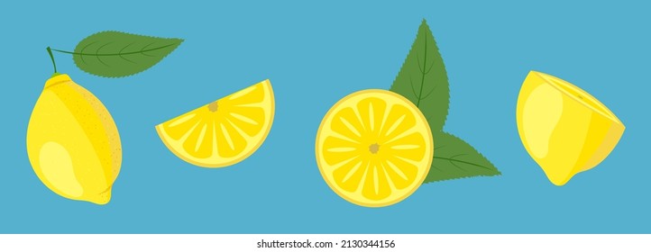 set of lemons. whole, half, wedge, half