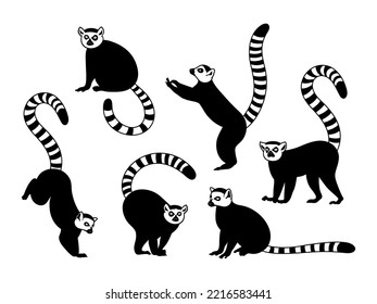 Conjunto de siluetas de lemur. Colección de animales tropicales con cola rayada. Mascotas exóticas. Animales africanos. Gráficos vectoriales en un fondo blanco. Zoo.