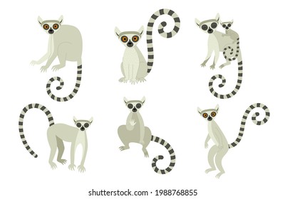 A set of lemurs in different poses. Exotic cute animals of madagascar and africa. Vector illustration in flat style