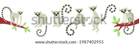 A set of lemurs in different poses. Exotic cute animals of madagascar and africa. Vector illustration in flat style