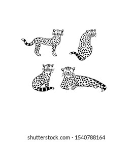 Set of leopard in doodle style.Vector hand drawn collection of baby cat, jaguar,cheetah in different poses.Cute animals are ready for animation,your design,printing, postcard.Funny baby leopards.EPS10